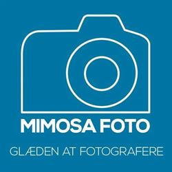 Mimosa i Aarhus (C) åbningstider