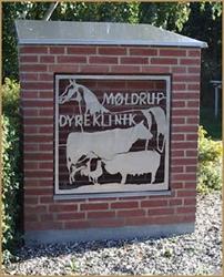 Møldrup Dyreklinik, åbningstider