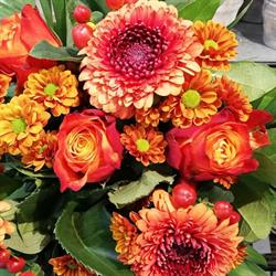 Smørblomsten, Mørkøv åbningstider