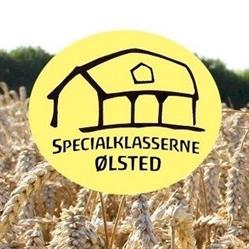 Specialklasserne - Rudolf Steiner-Skolen i Odense, Broby åbningstider