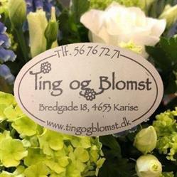 Ting og Blomst, Karise åbningstider